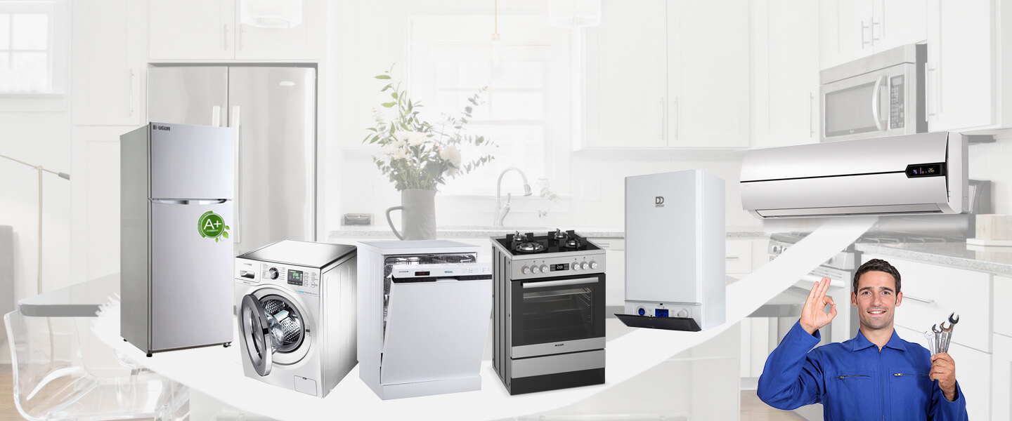 Doğançay Dominox Servisi